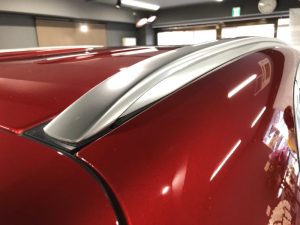 モールプロテクション施工後